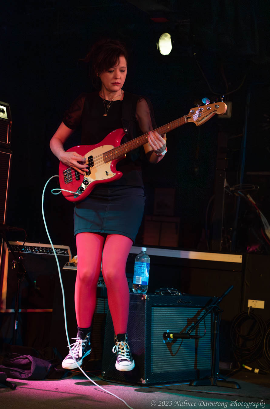 Black Cat Anniversary