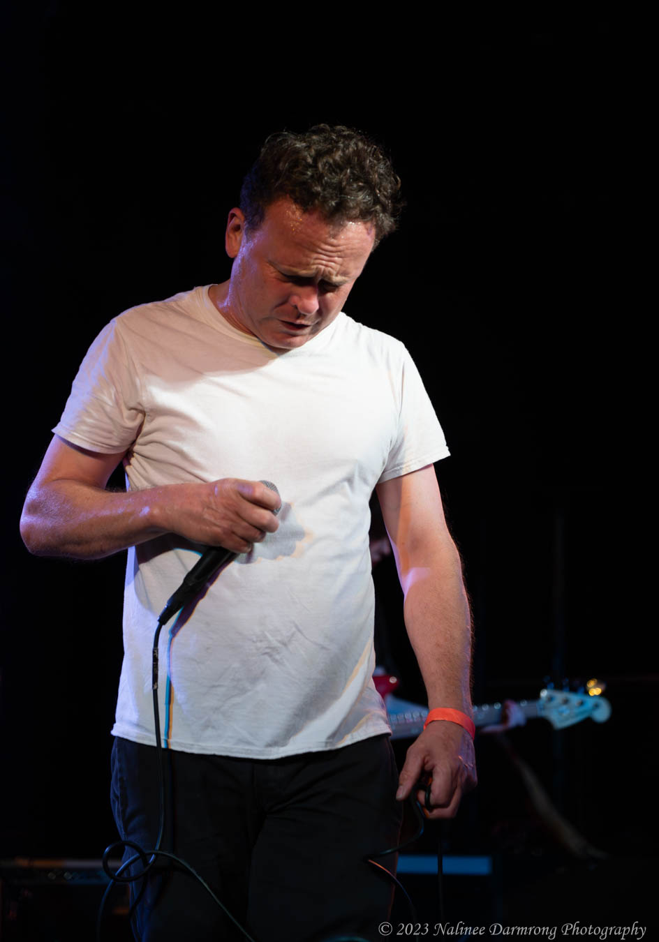 Black Cat Anniversary