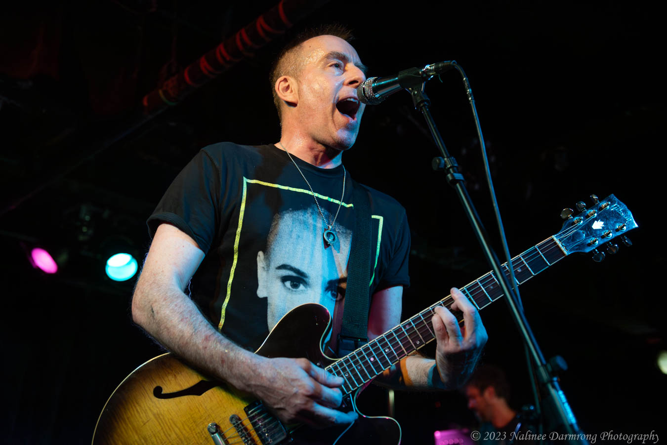 Black Cat Anniversary