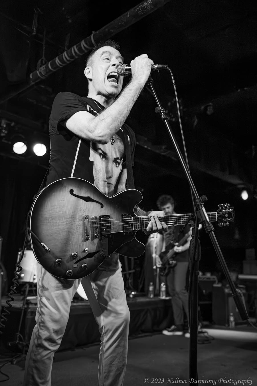 Black Cat Anniversary