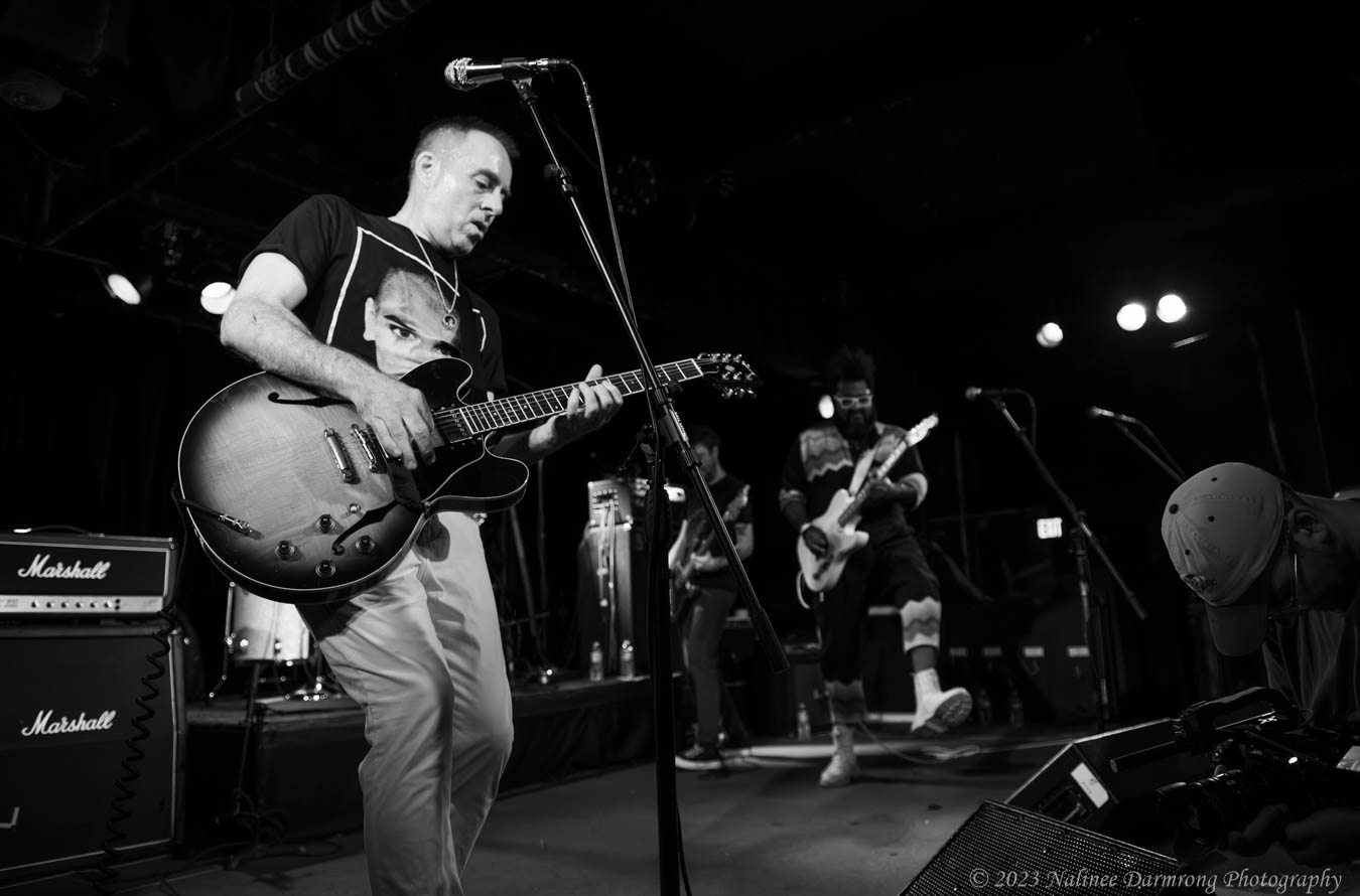 Black Cat Anniversary