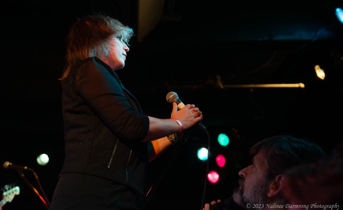 Black Cat Anniversary