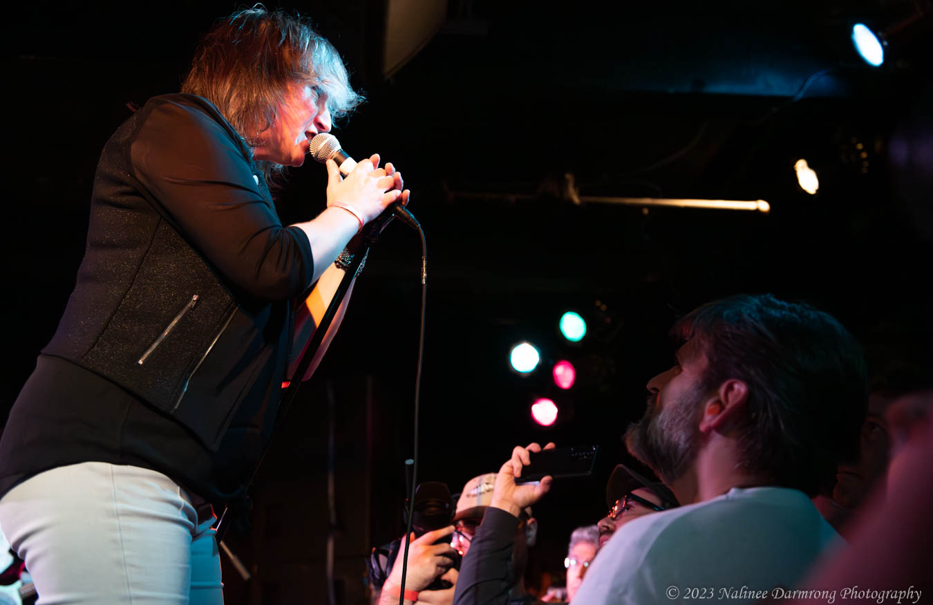 Black Cat Anniversary