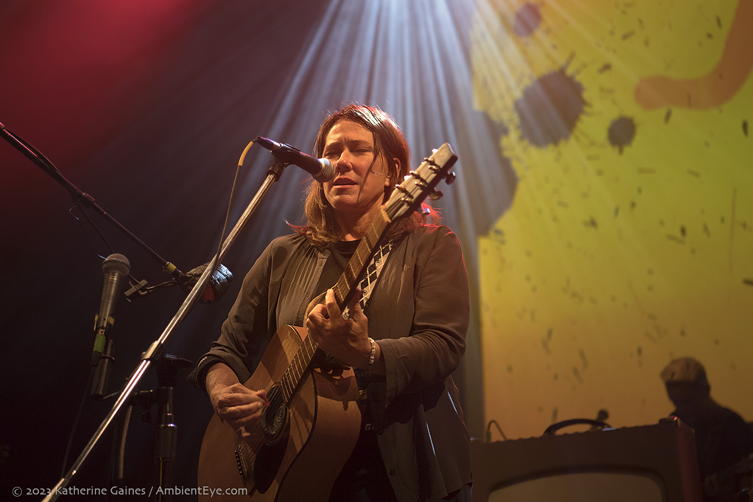 the breeders, fillmore silver spring, katherine gaines, ambienteye photography