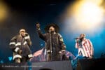 Concert_Parklife_Lauren_Hill_Fugees_web-12
