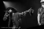 Concert_Parklife_Lauren_Hill_Fugees_web-14