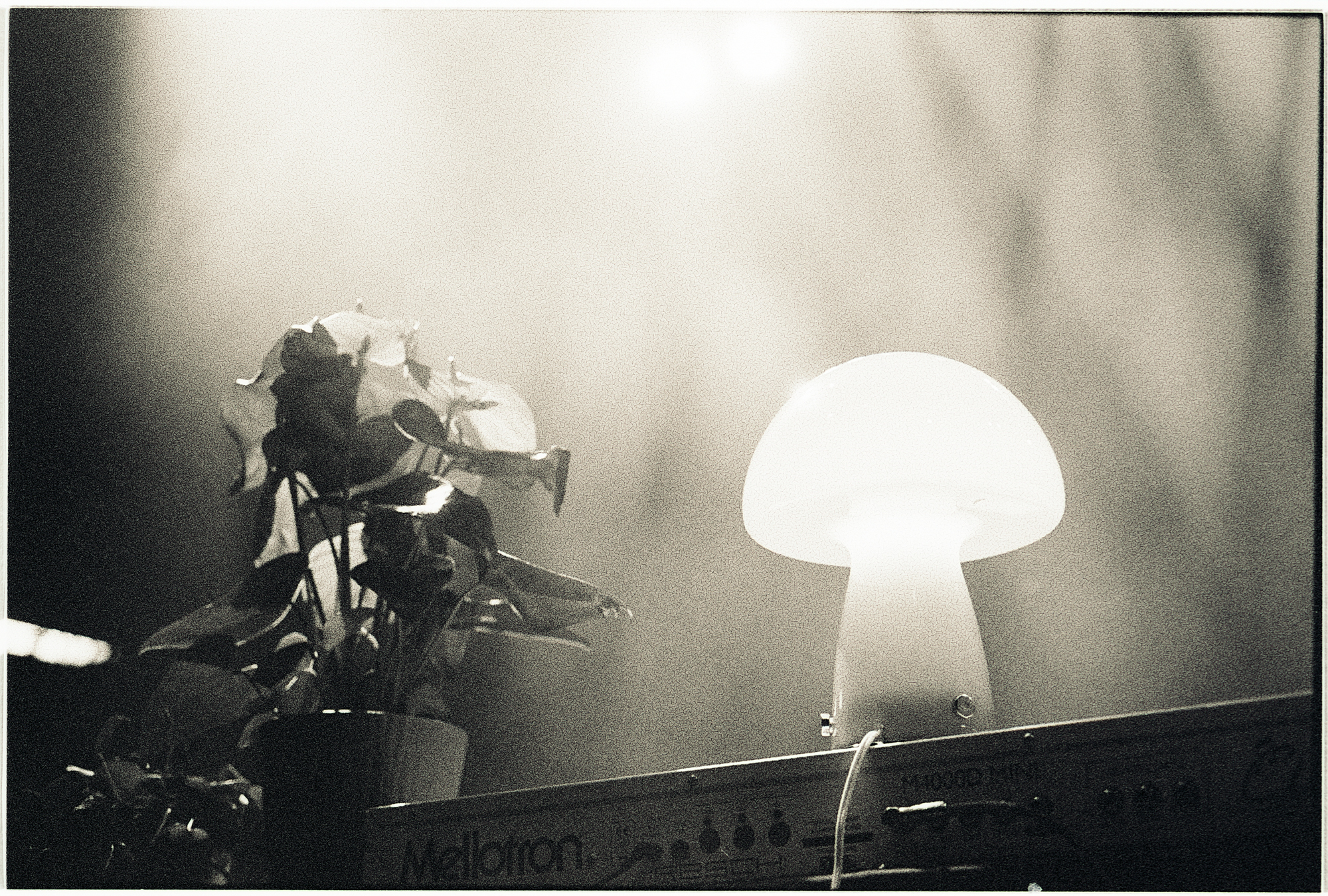 Monster Rally @ 9:30 Club Washington DC 11.18.23 35mm Photo by Casey Ryan Vock