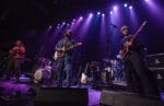 Sugardaisy10