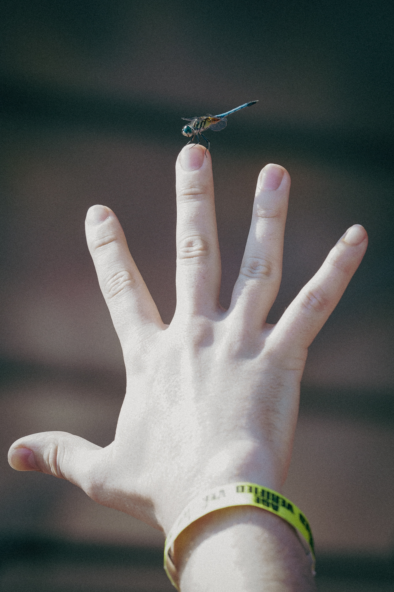 Newport Folk Festival