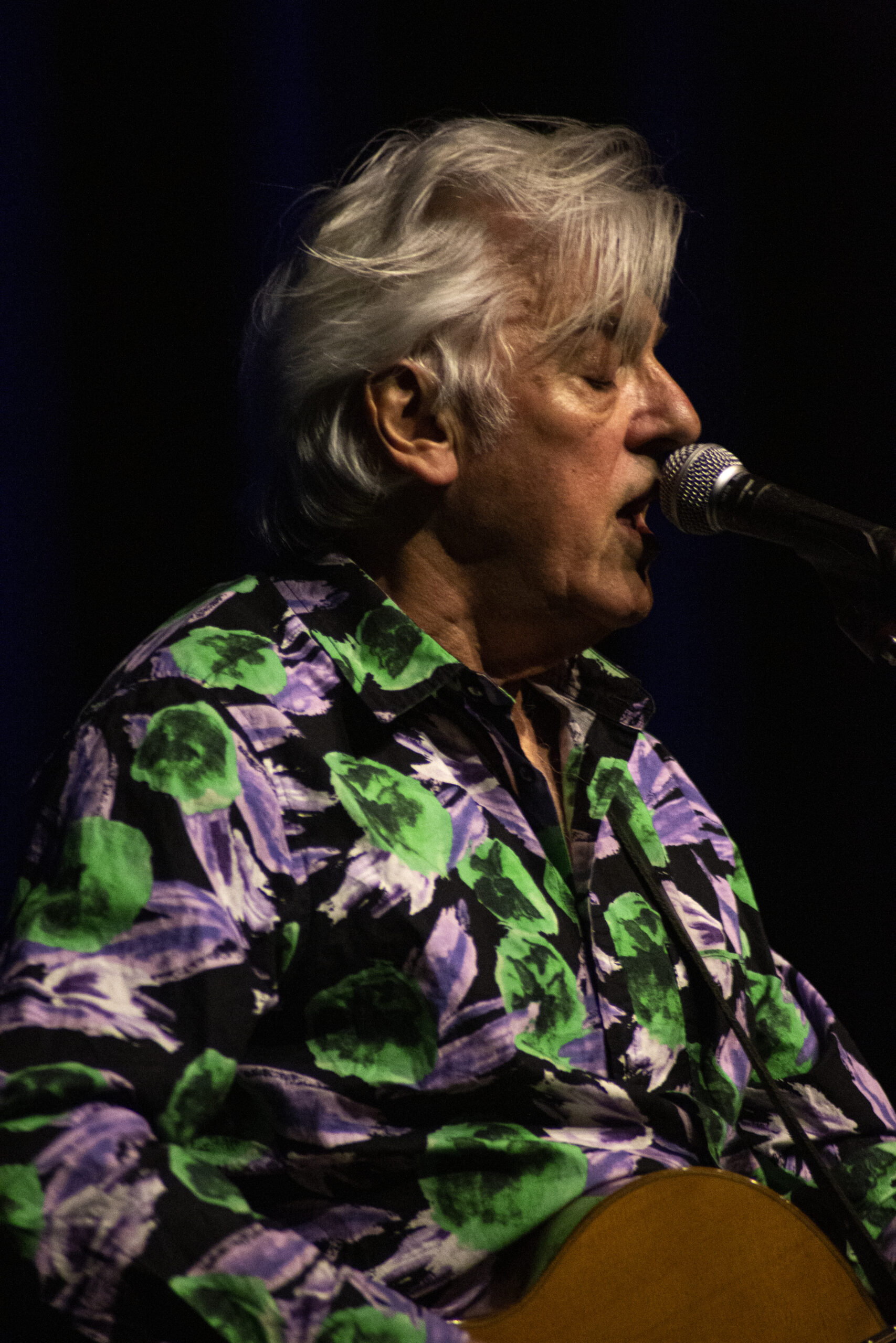 Robyn Hitchcock