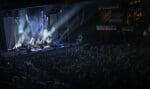 DavidGray5