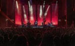 DavidGray7