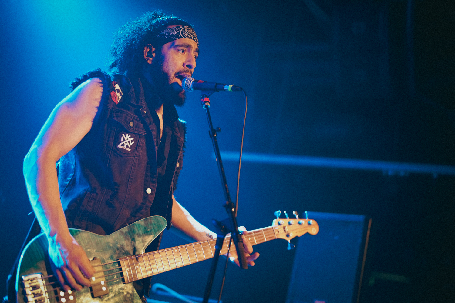 Gogol Bordello