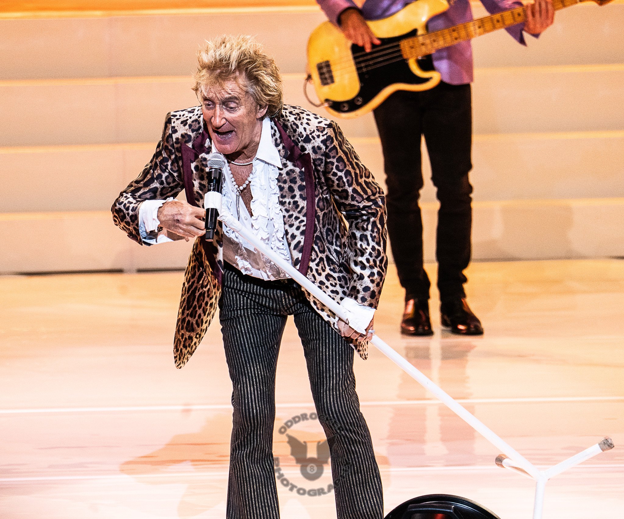 Rod Stewart