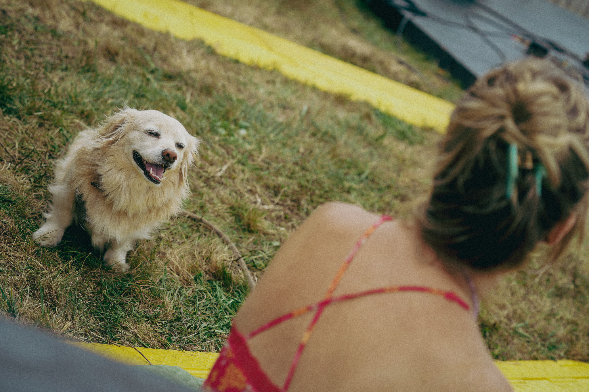 Newport Folk Festival 2025 Fort Adams State Park RI Photo by Casey Ryan Vock