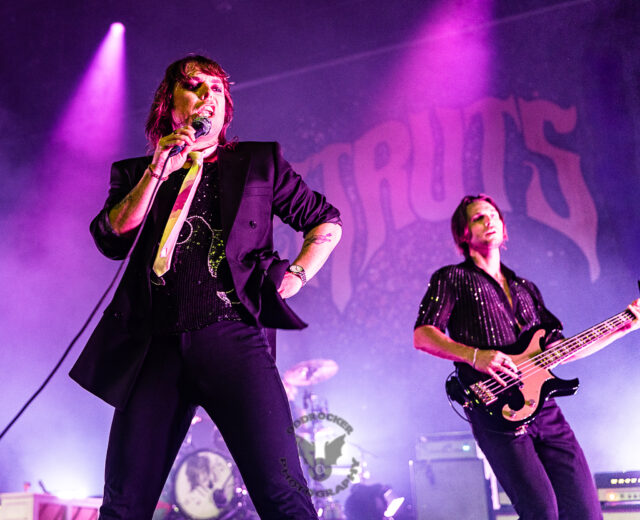 The Struts