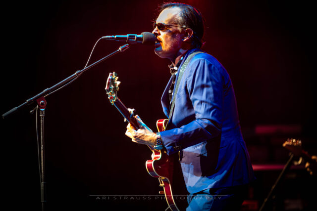 Joe Bonamassa