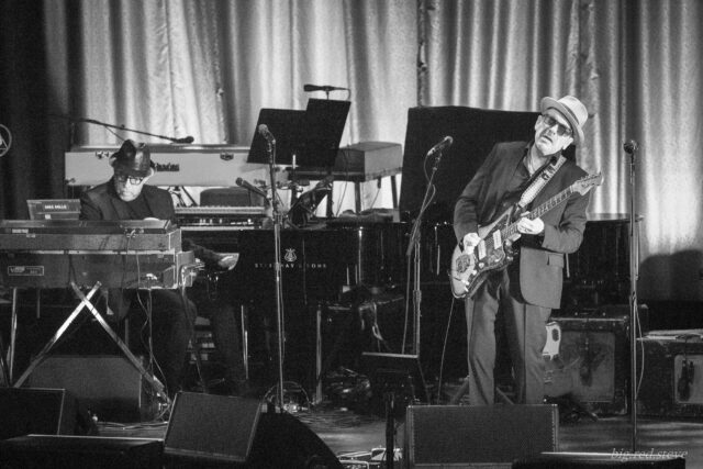 Elvis Costello